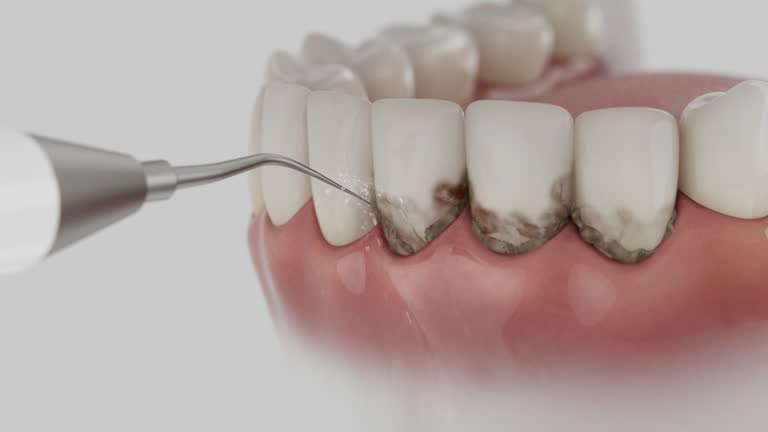 Reliable Dental contractor in North Beach, MD by Dentist Open Now